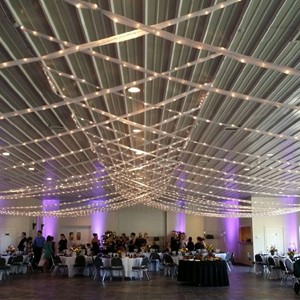 Designlight overhead bee lights in voile canopy for wedding
